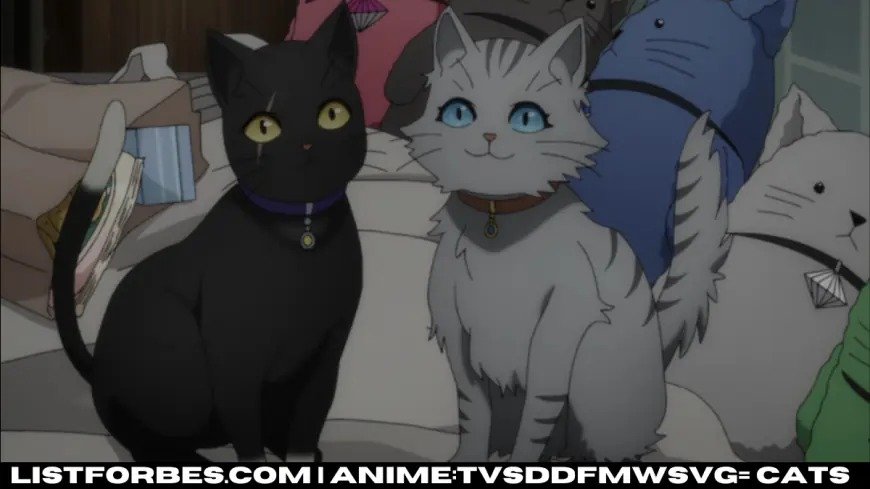 anime:tvsddfmwsvg= cats