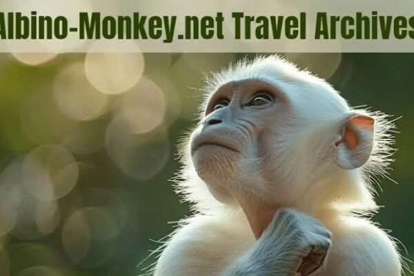 albino-monkey.net travel archives