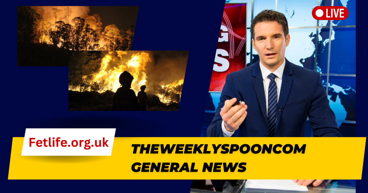 TheWeeklySpoonCom General News